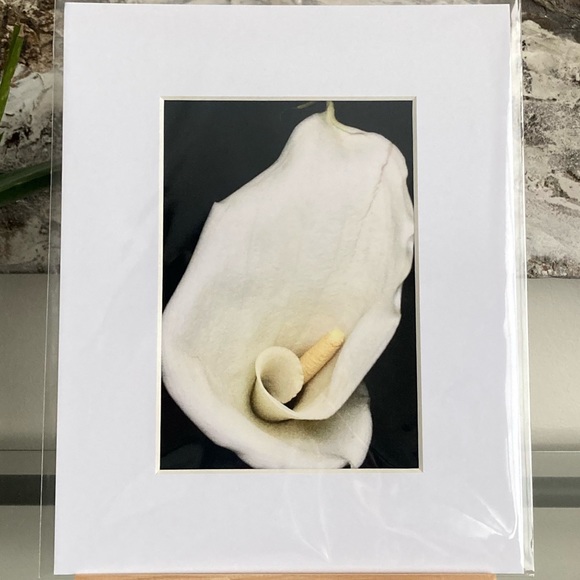 “CALISTA” ~ ORIGINAL ART by ~ @lisamichellebeckerphotography - Picture 11 of 13